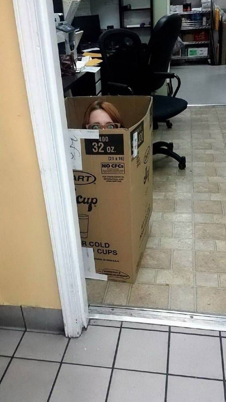 Gewoon een verzameling hilarische foto's #1216