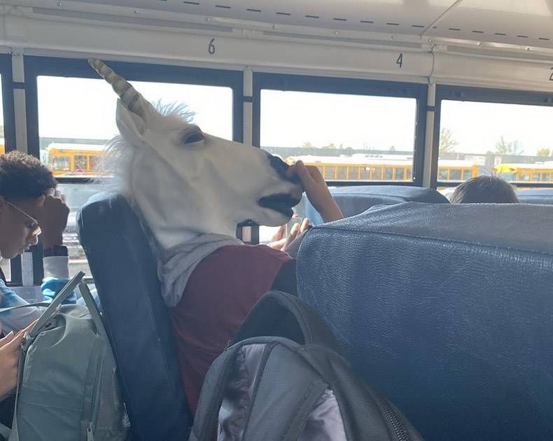 Gewoon een verzameling hilarische foto's #1240