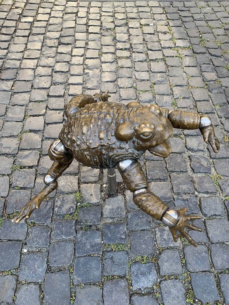 Gewoon een verzameling hilarische foto's #1173