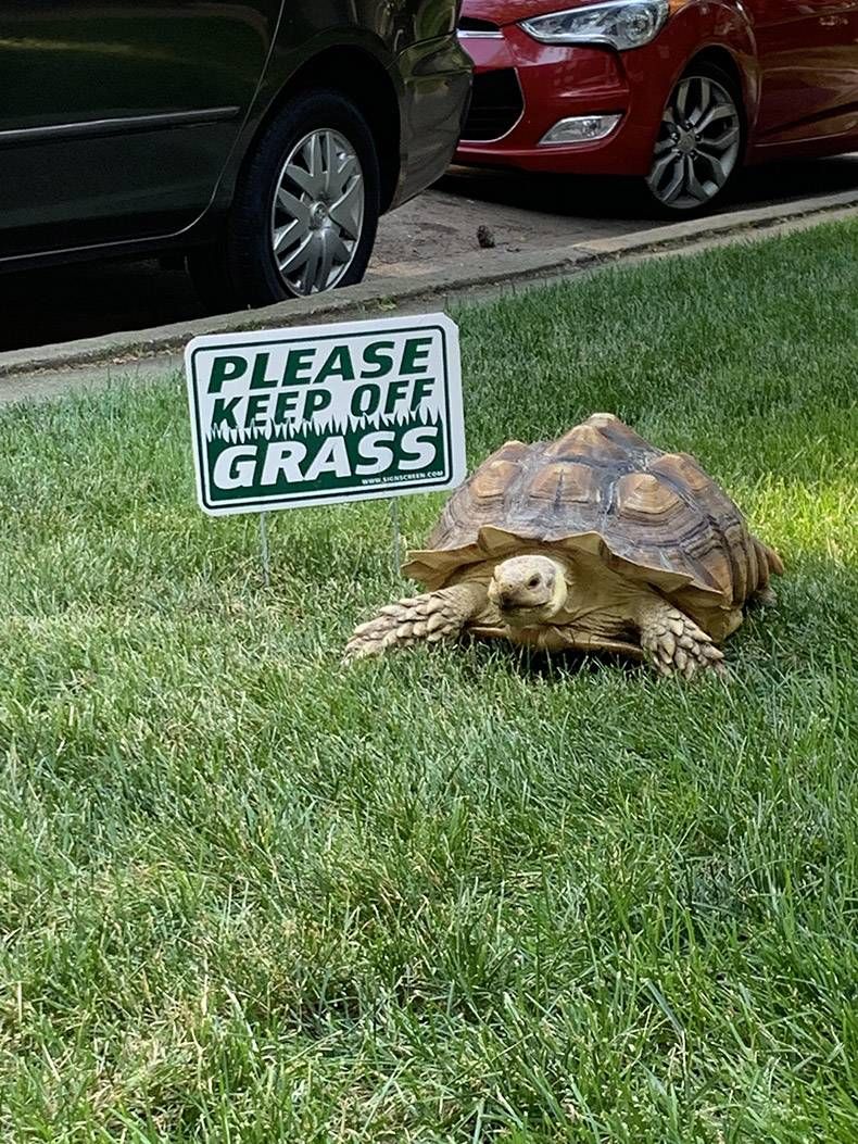 Gewoon een verzameling hilarische foto's #1161