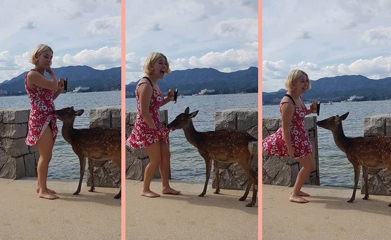 Gewoon een verzameling hilarische foto's #1152