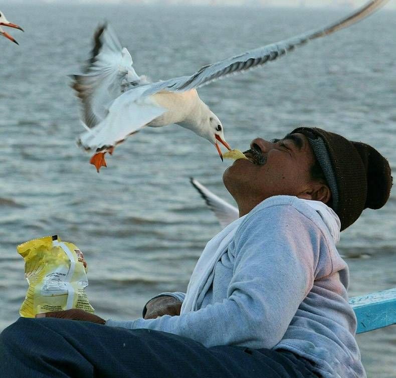 Gewoon een verzameling hilarische foto's #1127