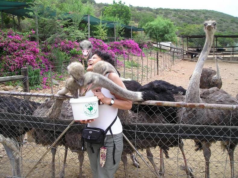 Gewoon een verzameling hilarische foto's #1096