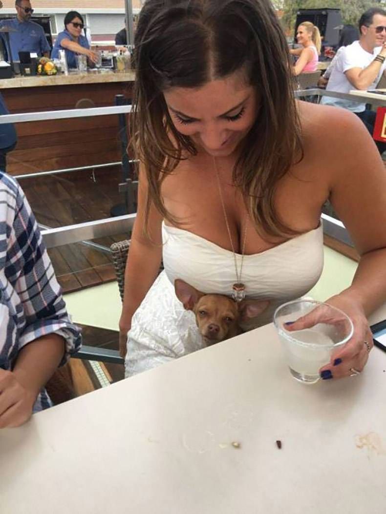 Gewoon een verzameling hilarische foto's #874