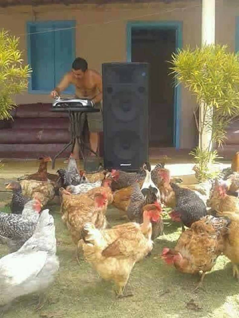 Gewoon een verzameling hilarische foto's #762