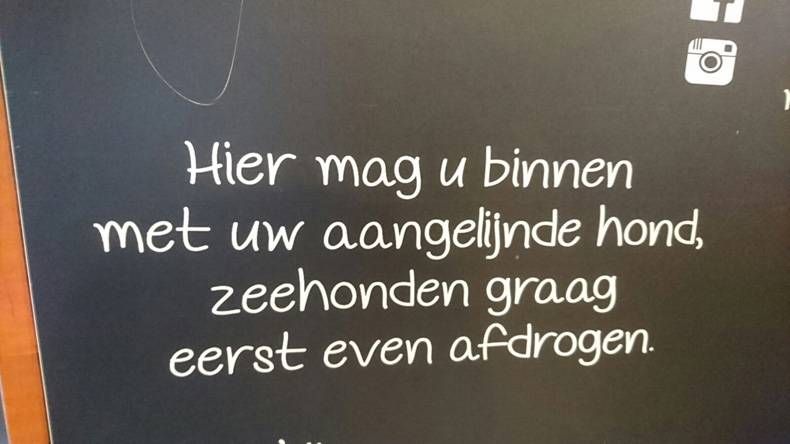 Gewoon een verzameling hilarische foto's #704