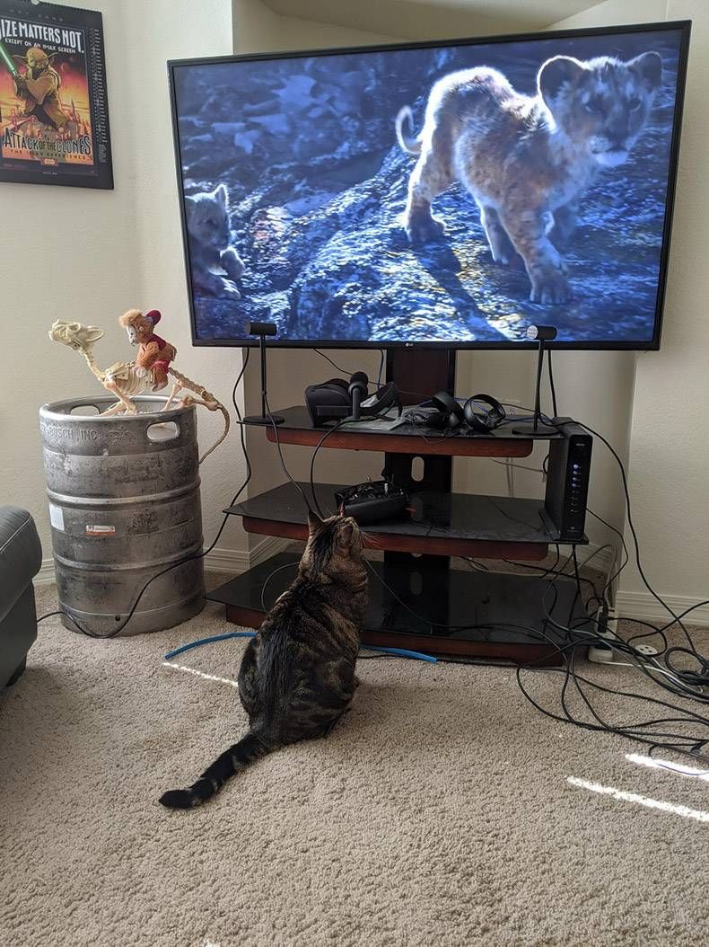 Gewoon een verzameling hilarische foto's #1244