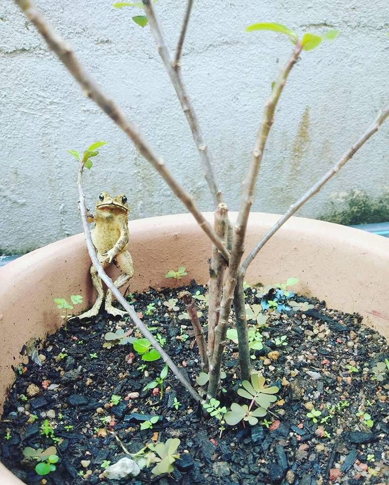 Gewoon een verzameling hilarische foto's #1240