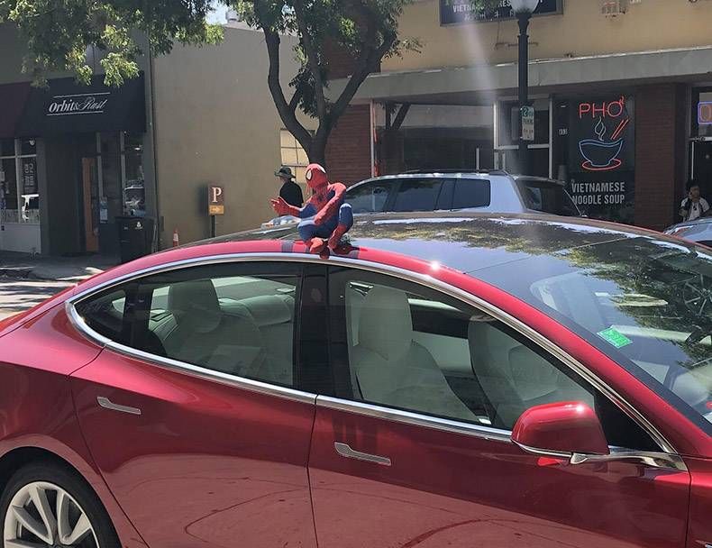 Gewoon een verzameling hilarische foto's #1173