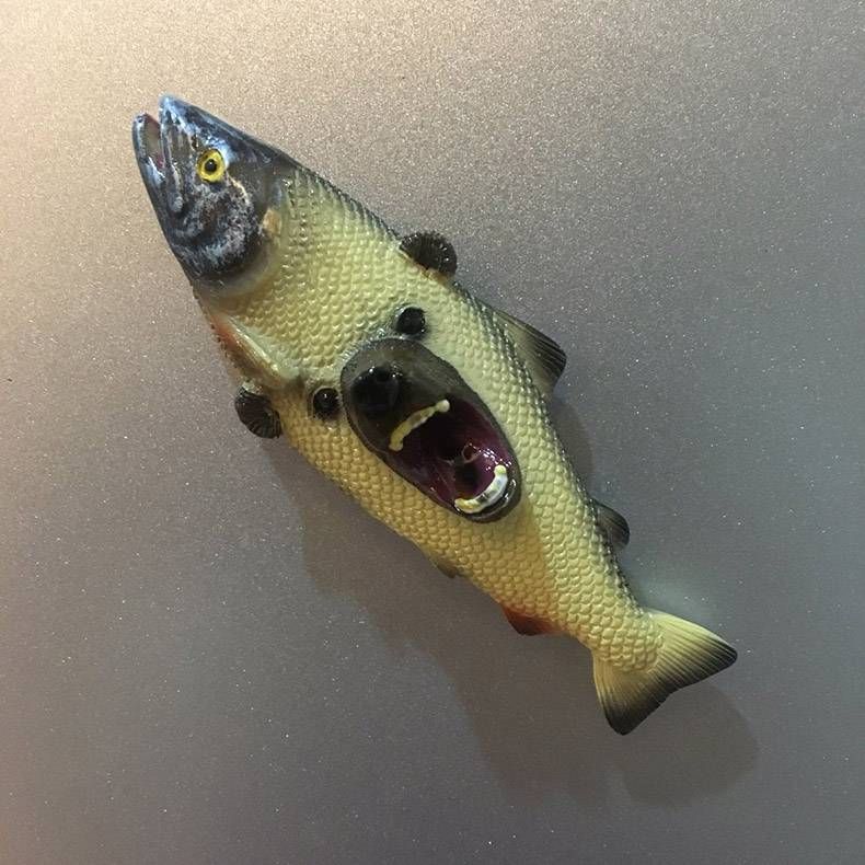 Gewoon een verzameling hilarische foto's #1089