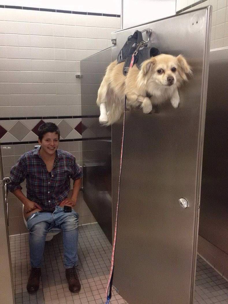 Gewoon een verzameling hilarische foto's #1294