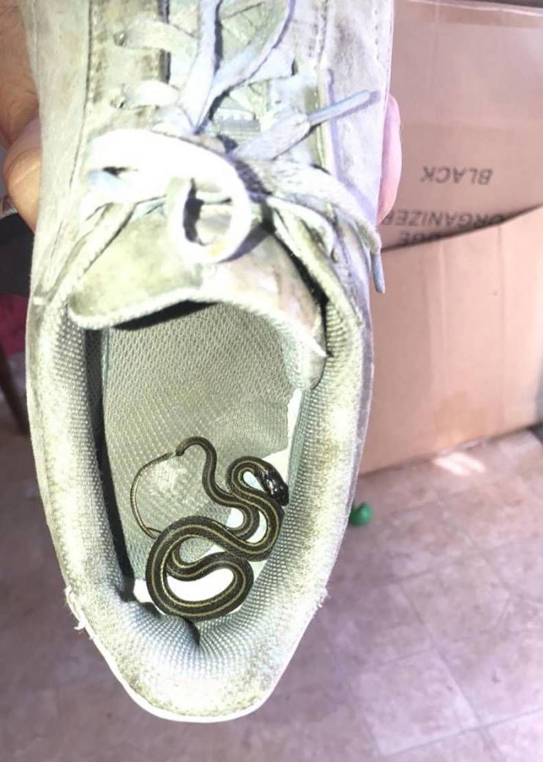 Gewoon een verzameling hilarische foto's #1161