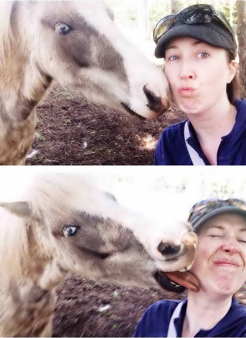 Gewoon een verzameling hilarische foto's #1128