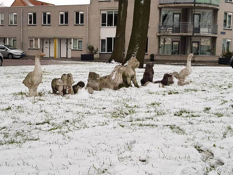 Gewoon een verzameling hilarische foto's #1079