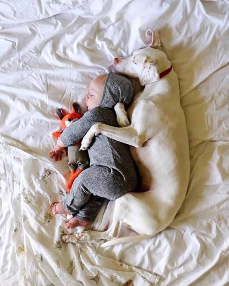 Gewoon een verzameling hilarische foto's #823