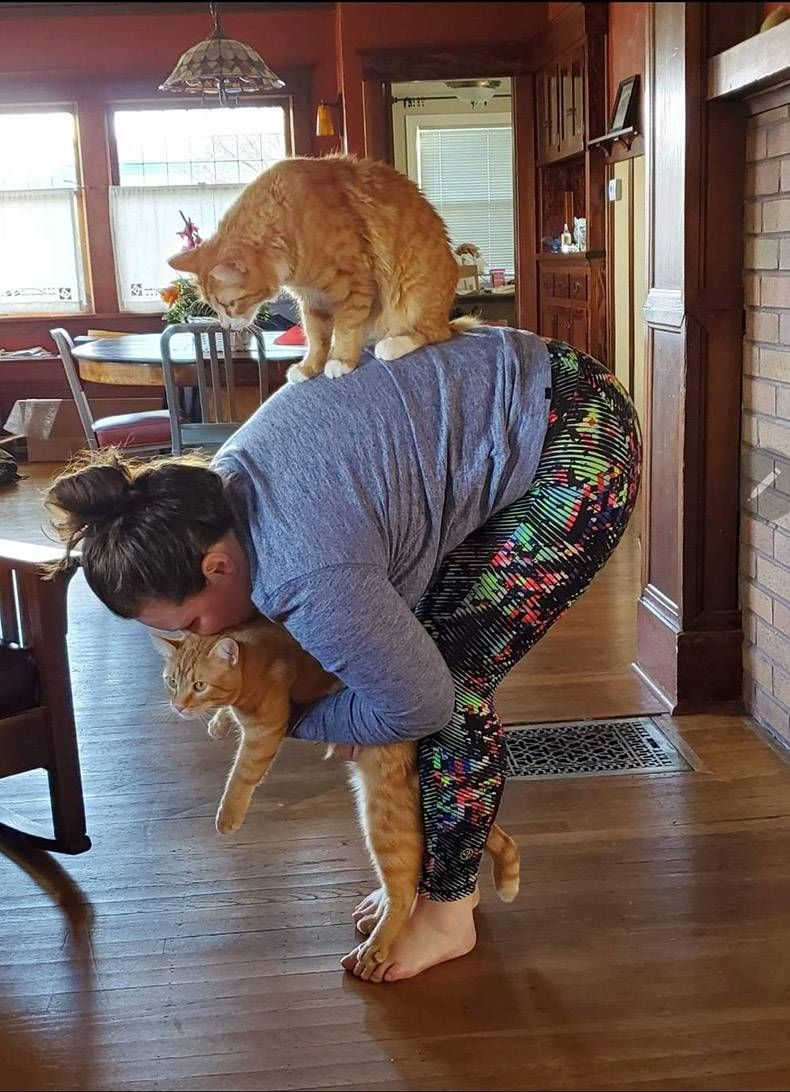 Gewoon een verzameling hilarische foto's #1255