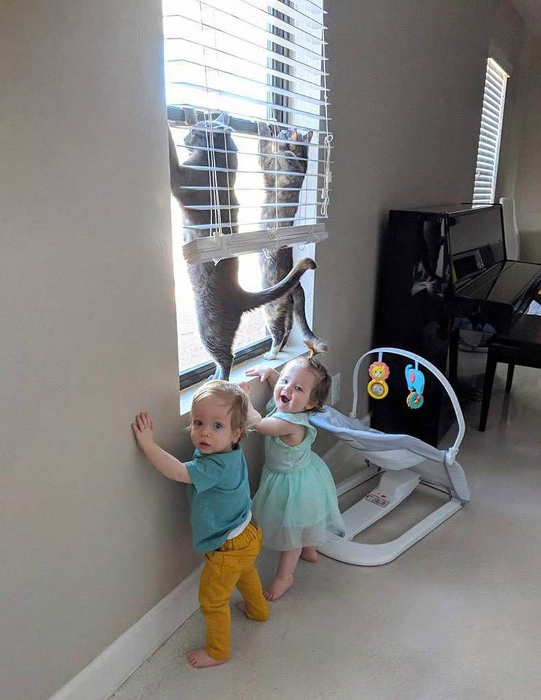 Gewoon een verzameling hilarische foto's #1096