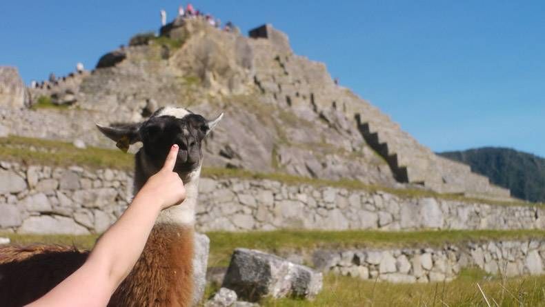 Gewoon een verzameling hilarische foto's #1088