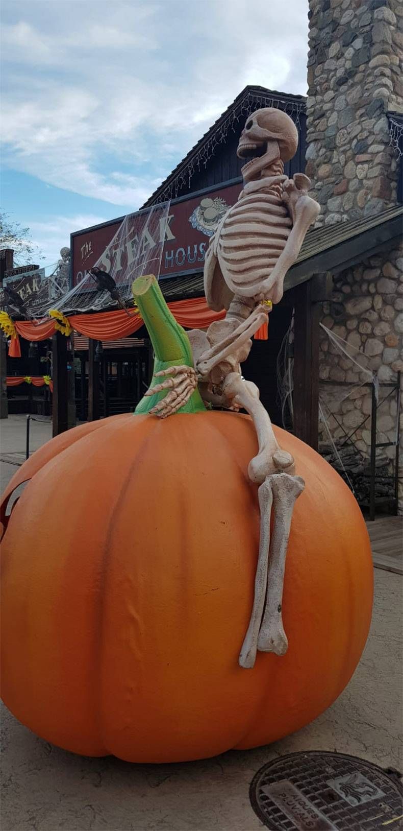 Gewoon een verzameling hilarische foto's #1037