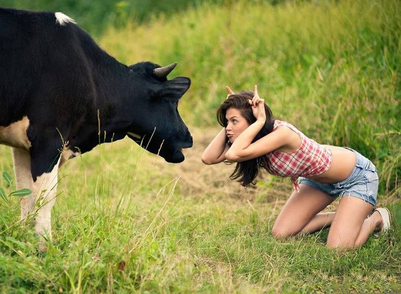 Pix Dump #1000 Special: Gewoon een verzameling foto's van dieren