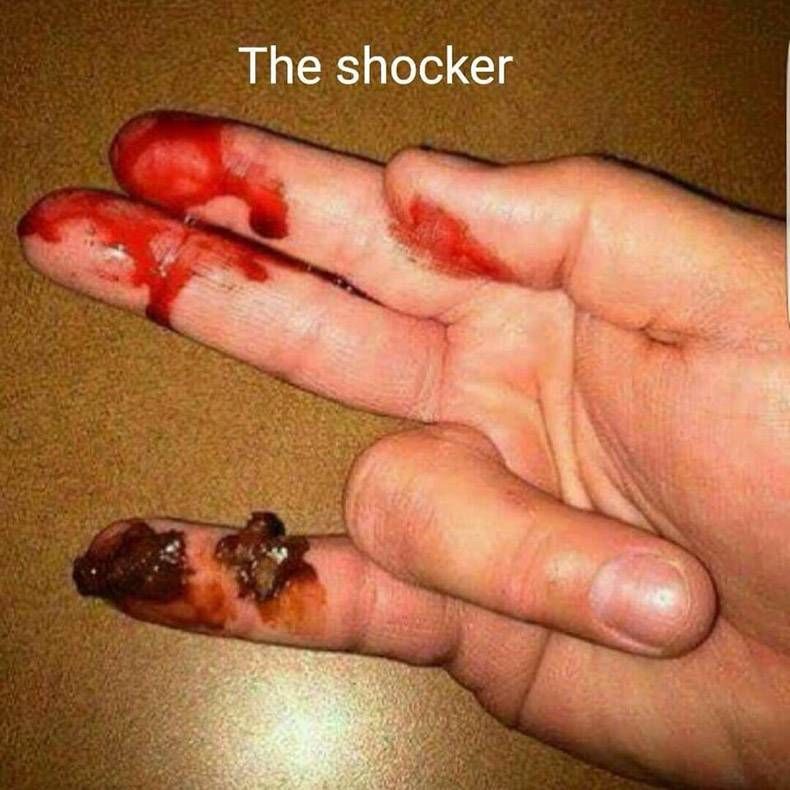 Gewoon een verzameling hilarische foto's #782