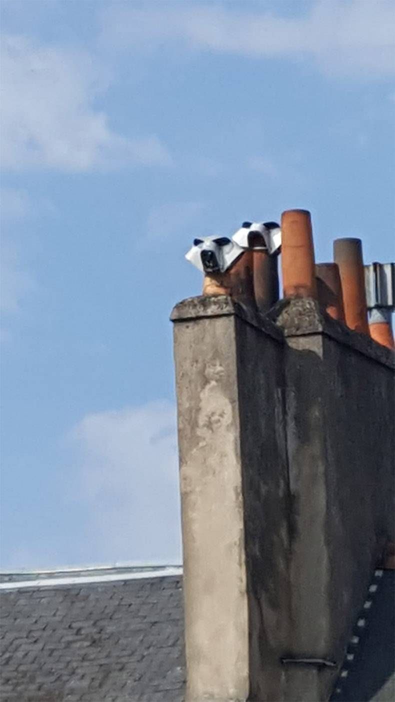 Gewoon een verzameling hilarische foto's #999
