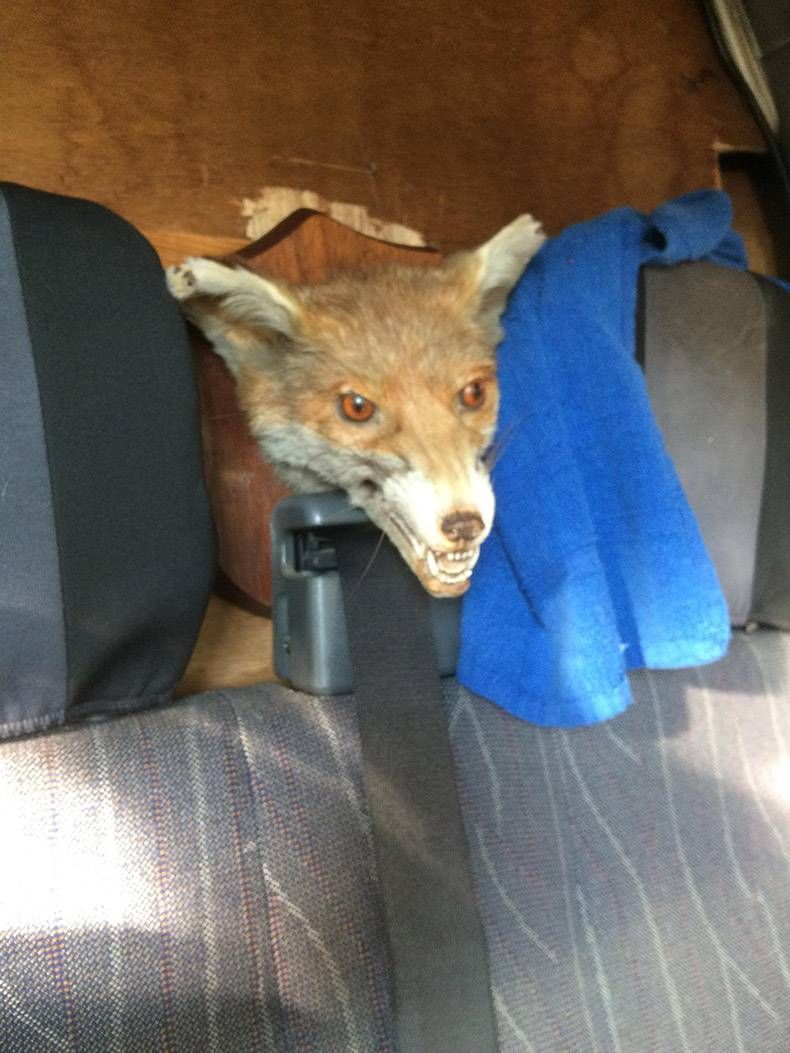 Gewoon een verzameling hilarische foto's #895