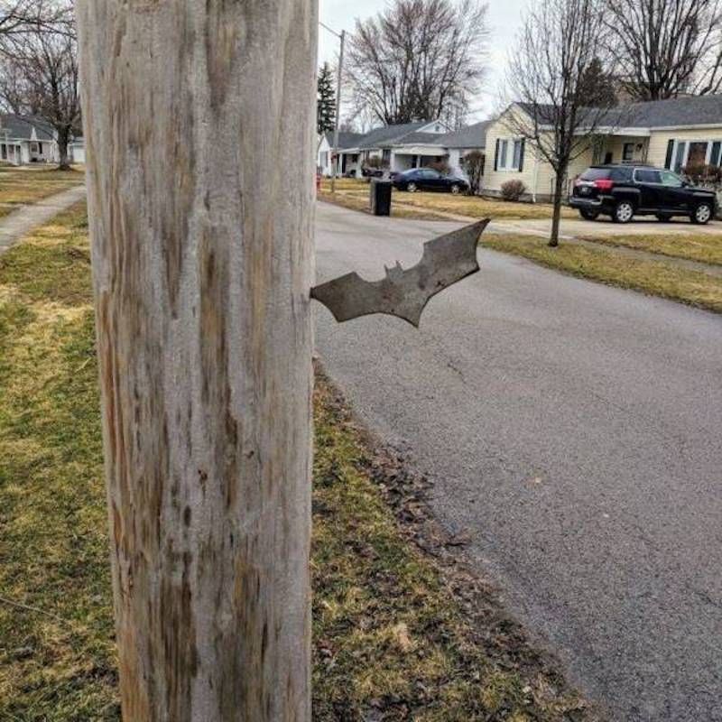 Gewoon een verzameling hilarische foto’s #1107