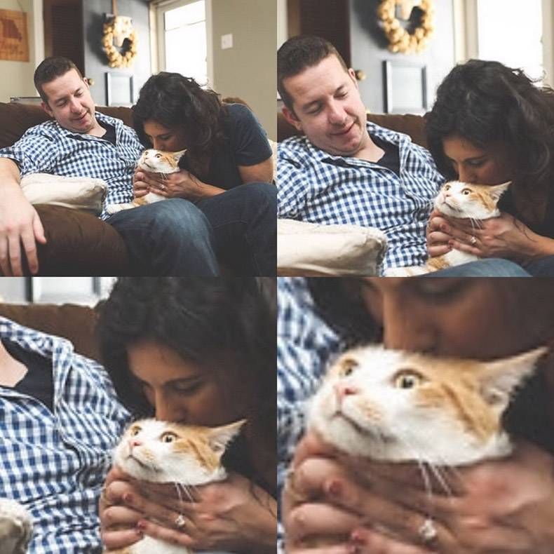 Gewoon een verzameling hilarische foto's #1178