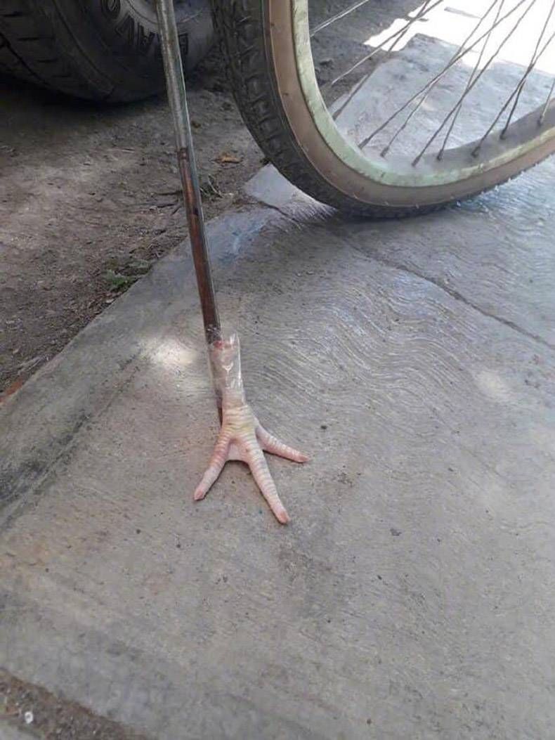 Gewoon een verzameling hilarische foto's #1173