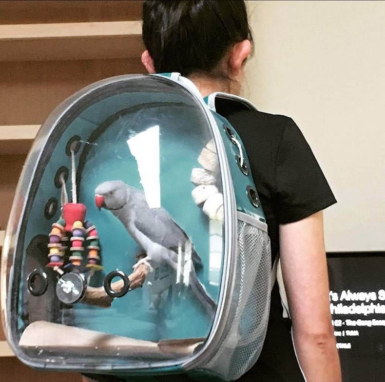 Gewoon een verzameling hilarische foto's #1152