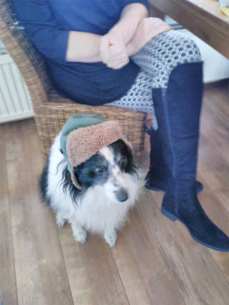 Gewoon een verzameling hilarische foto's #1079