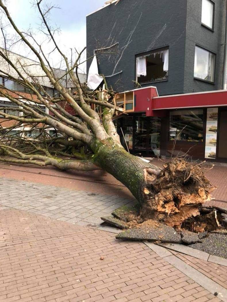 Gewoon een verzameling hilarische foto’s #921