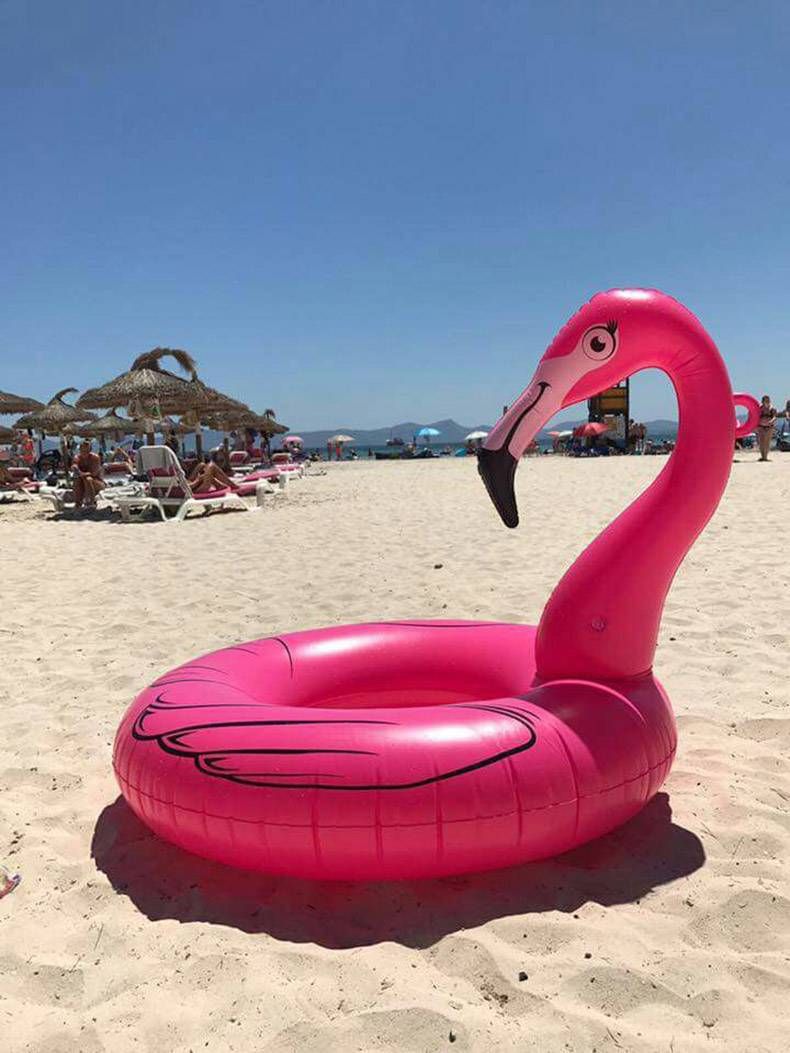 Gewoon een verzameling hilarische foto’s #847