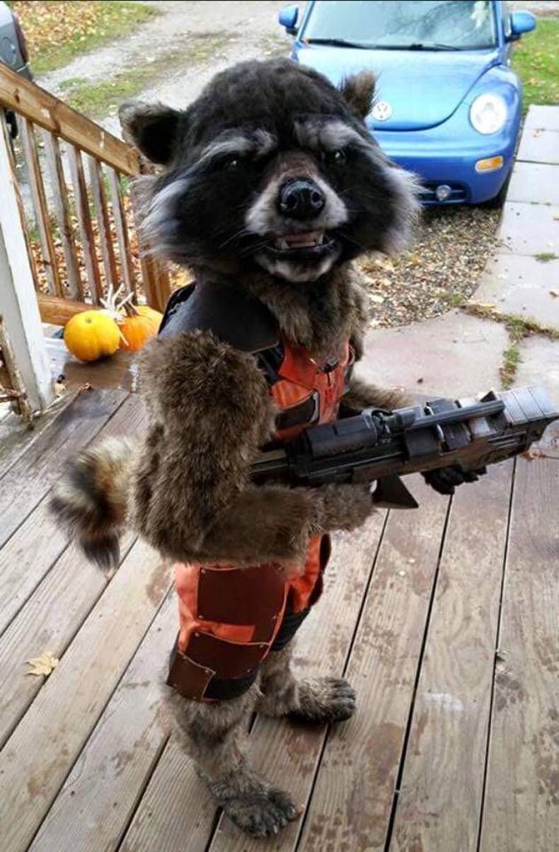 Gewoon een verzameling hilarische foto's #730