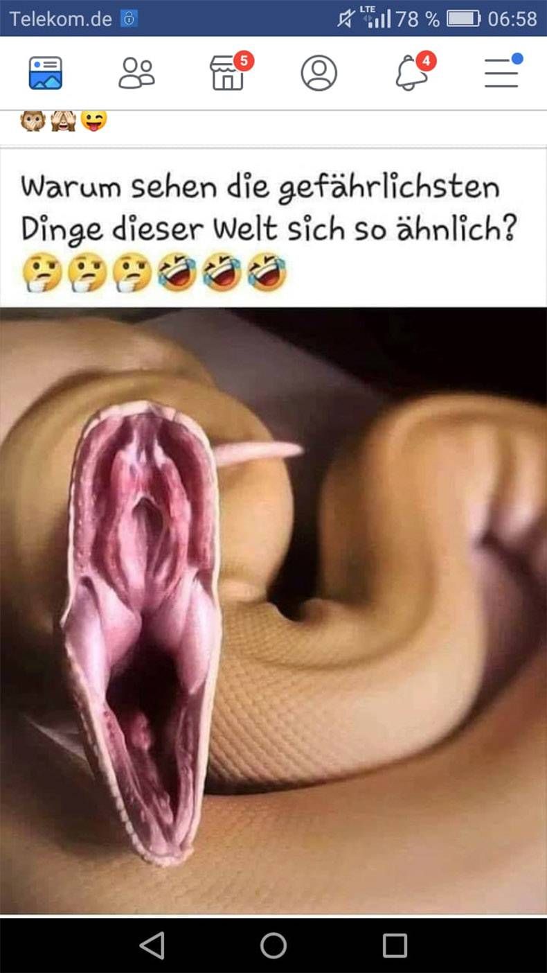 Gewoon een verzameling hilarische foto's #1077