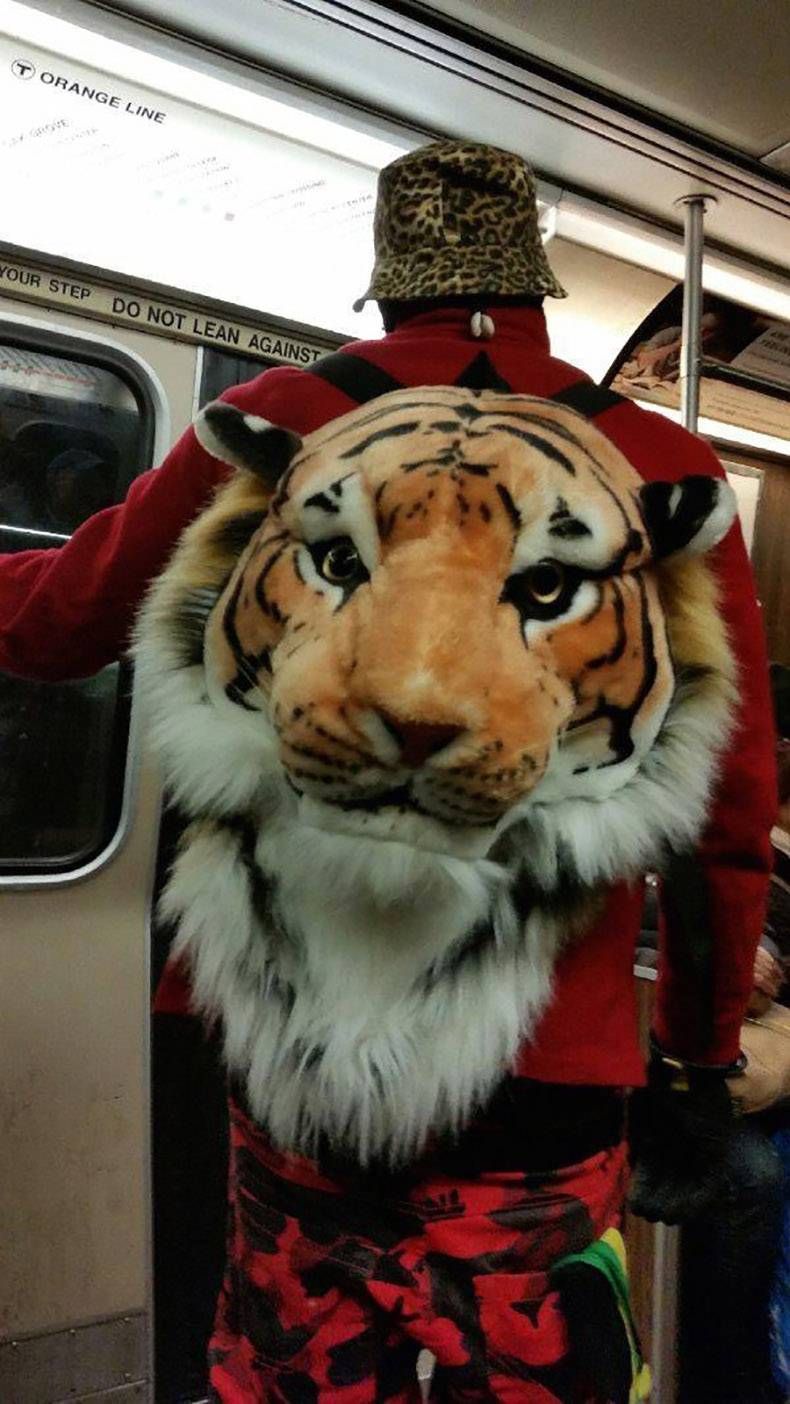 Gewoon een verzameling hilarische foto's #1161