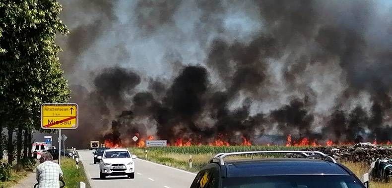 Gewoon een verzameling hilarische foto's #1159