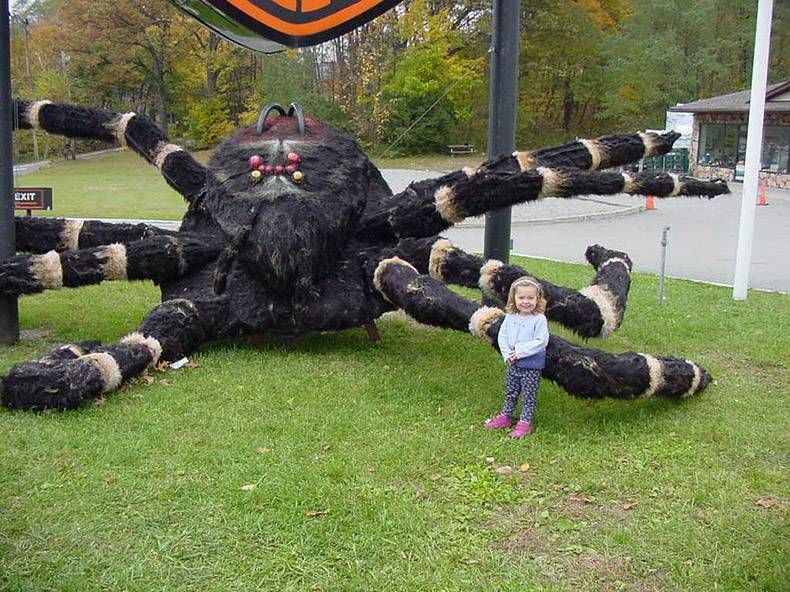 Gewoon een verzameling hilarische foto's #1088