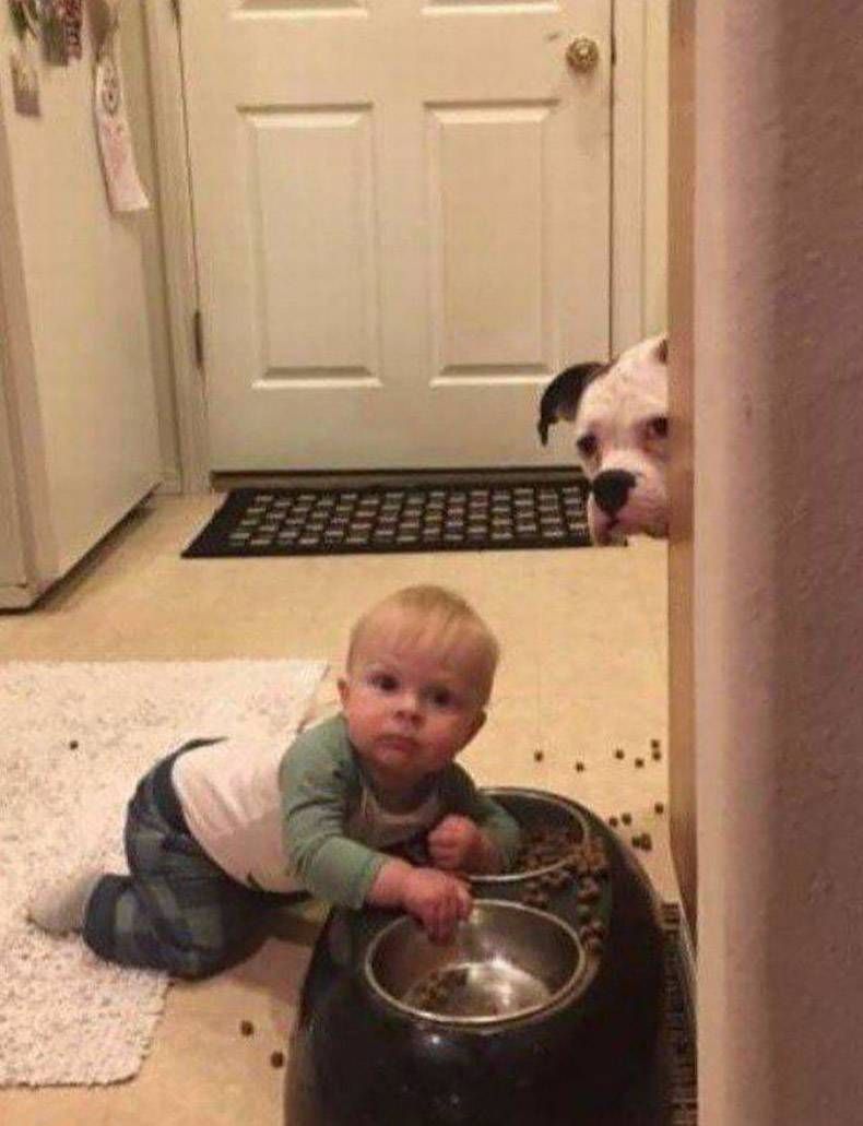 Gewoon een verzameling hilarische foto's #874