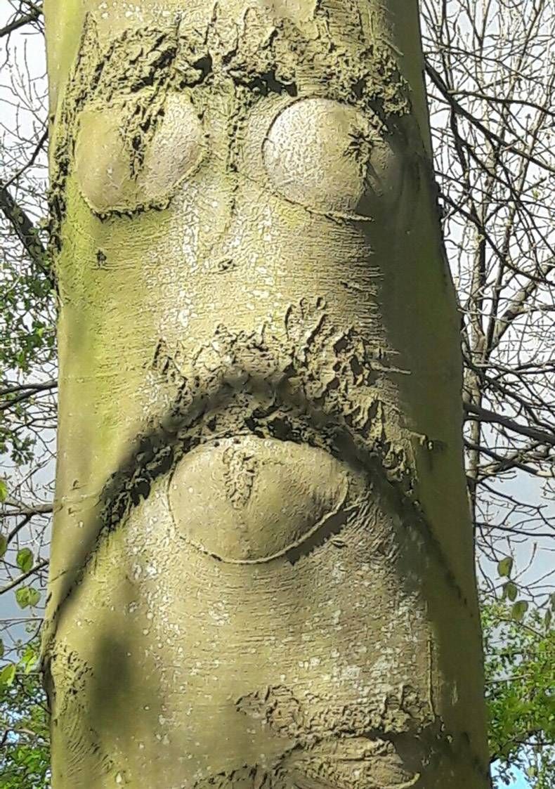 Gewoon een verzameling hilarische foto's #828