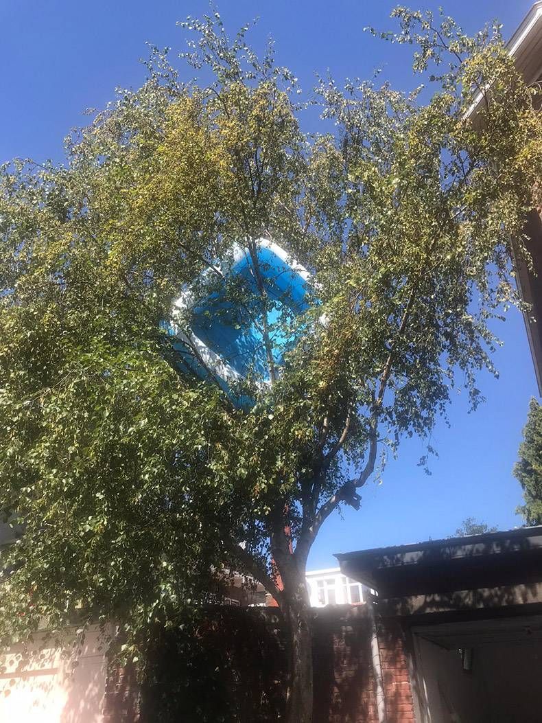 Gewoon een verzameling hilarische foto's #1321