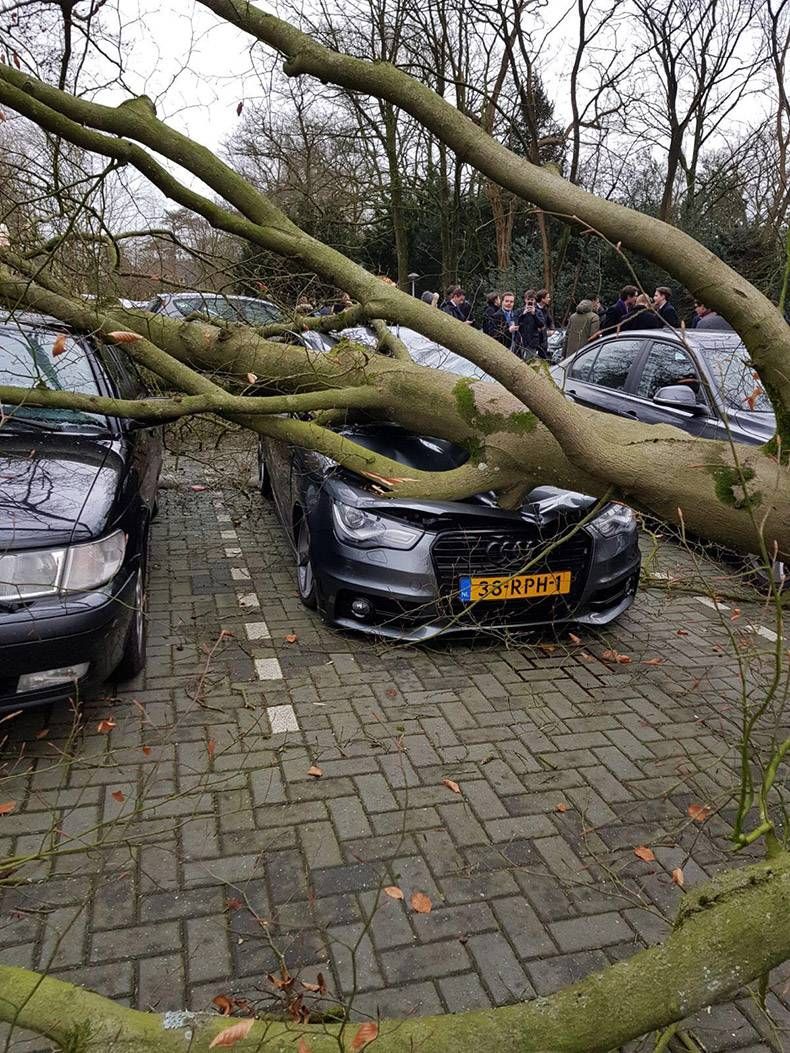 Gewoon een verzameling hilarische foto’s #921