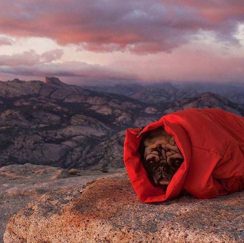 Gewoon een verzameling hilarische foto's #895