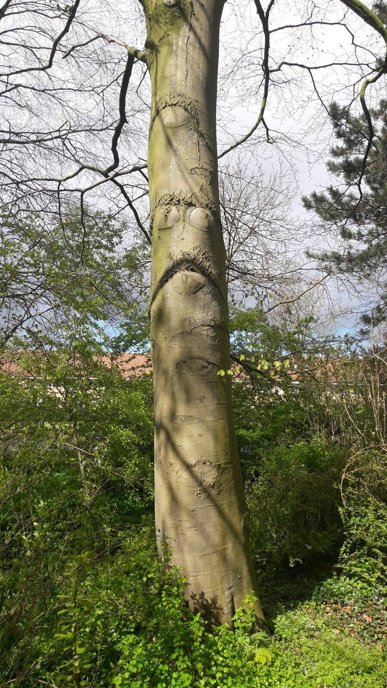 Gewoon een verzameling hilarische foto's #828