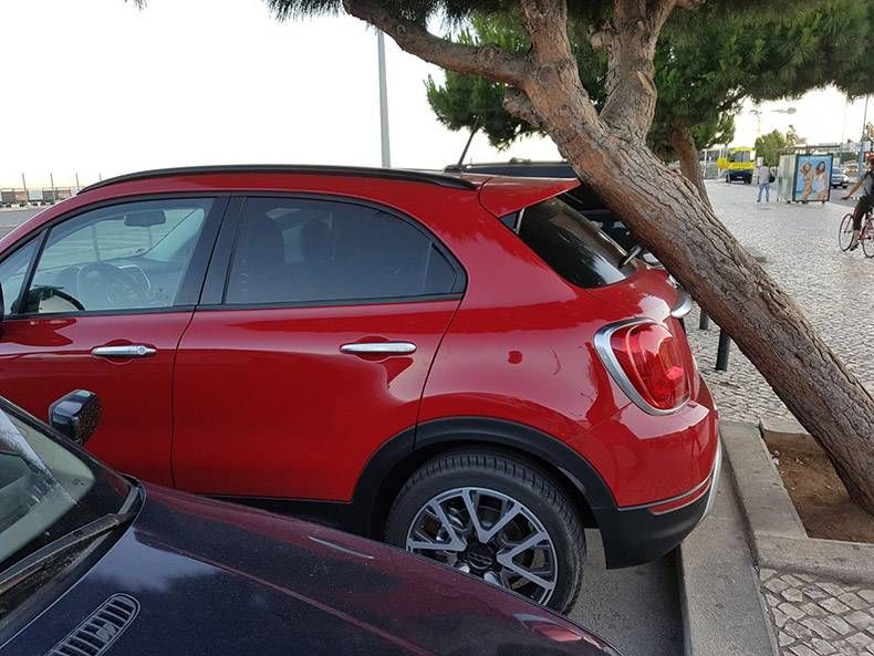 Gewoon een verzameling hilarische foto's #825