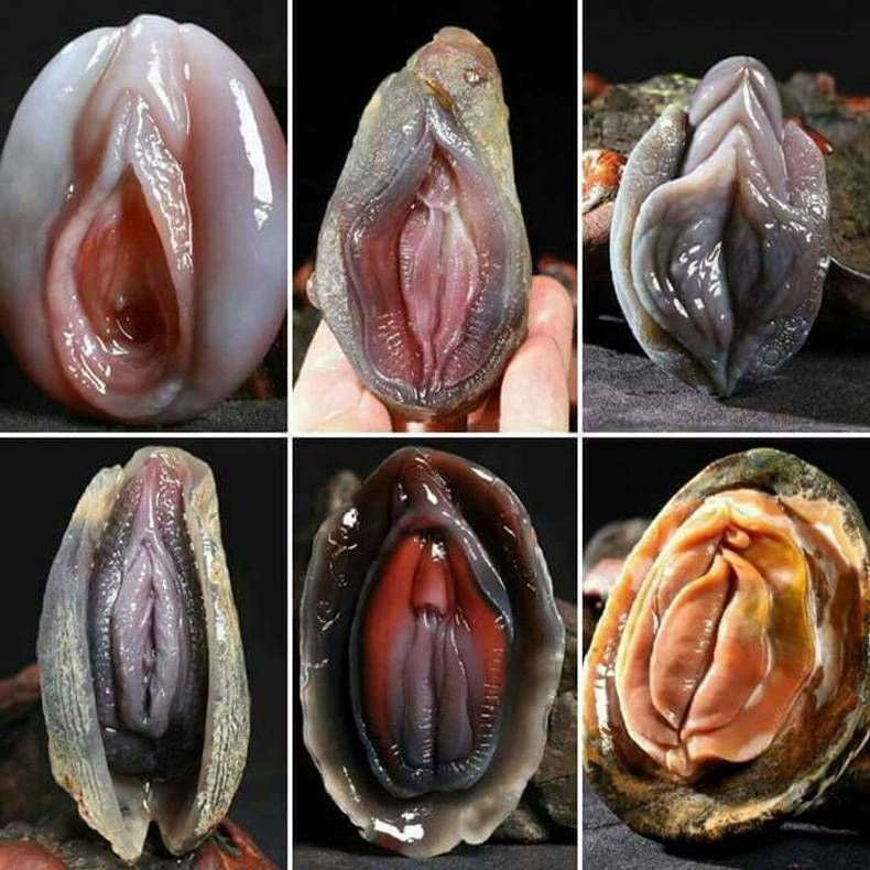 Gewoon een verzameling hilarische foto's #750