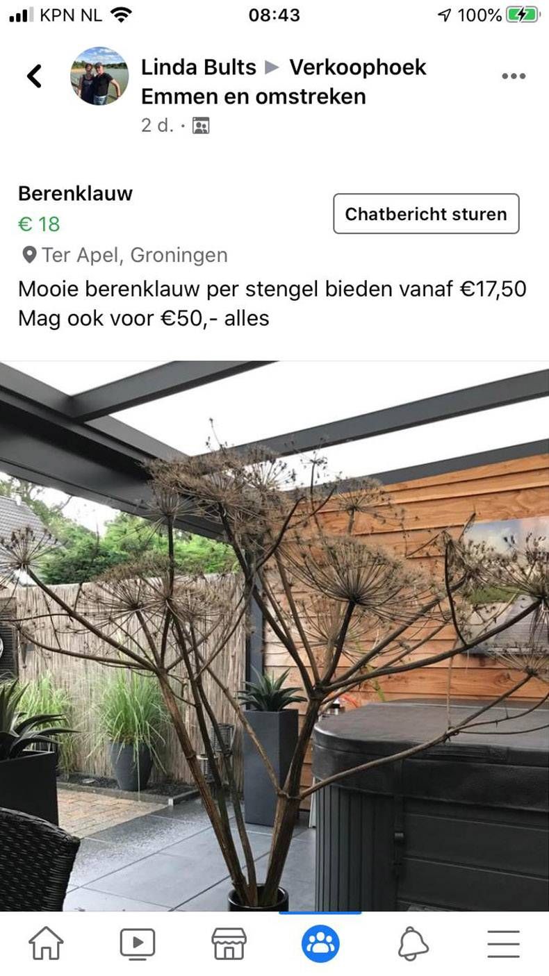 Gewoon een verzameling hilarische foto’s #1336