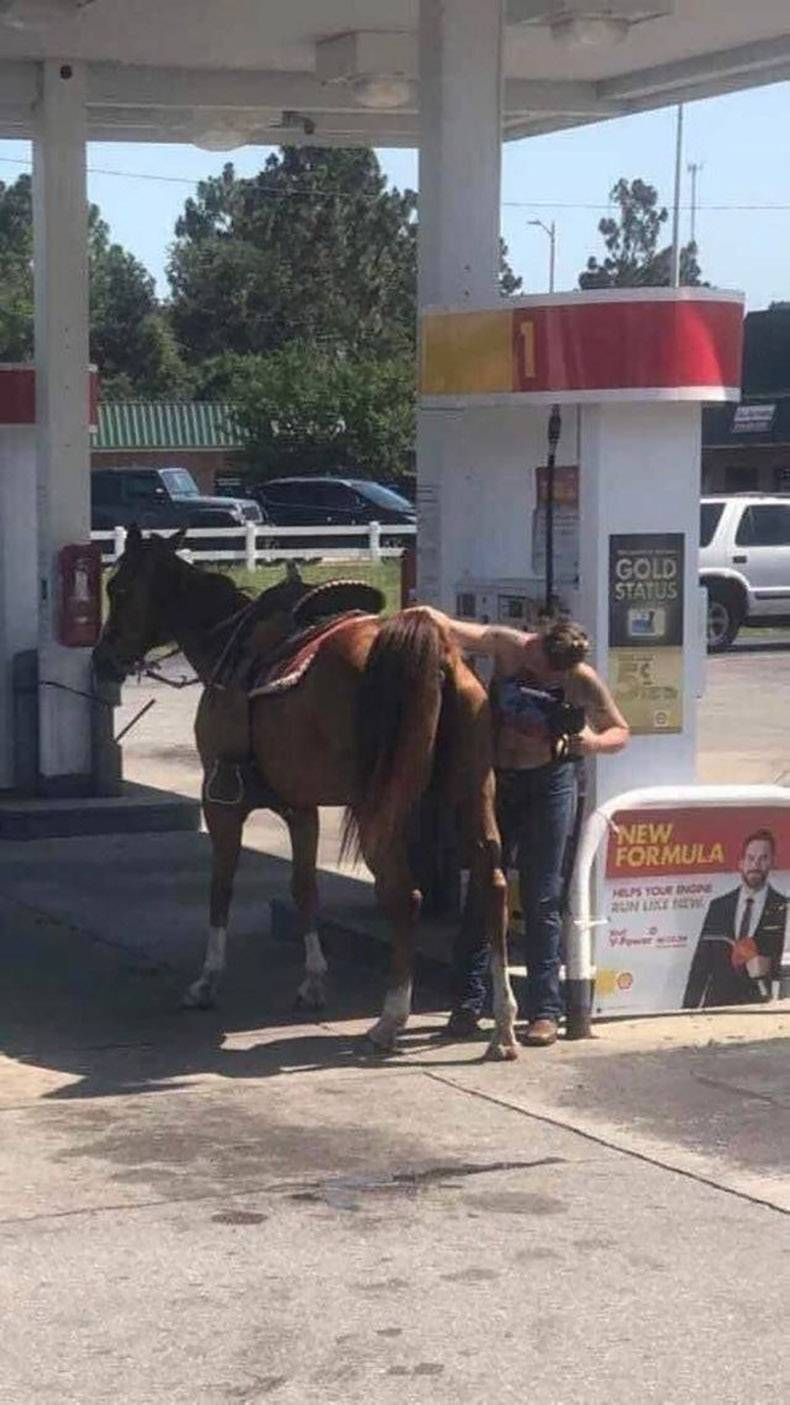 Gewoon een verzameling hilarische foto's #1161