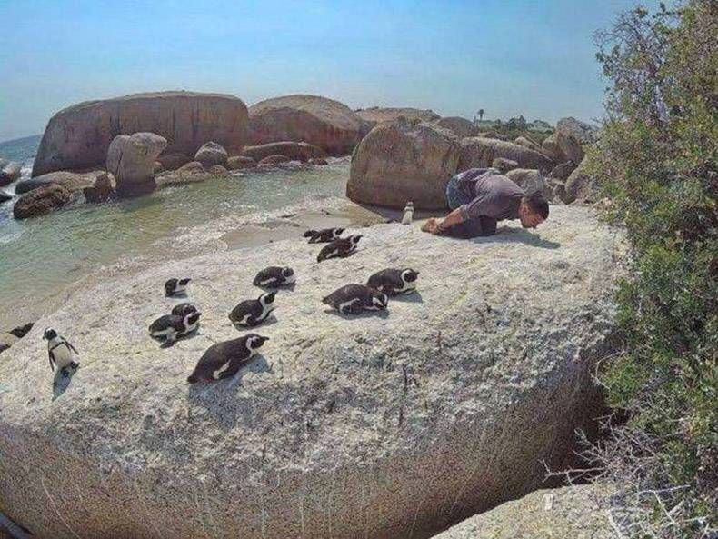 Gewoon een verzameling hilarische foto's #1142